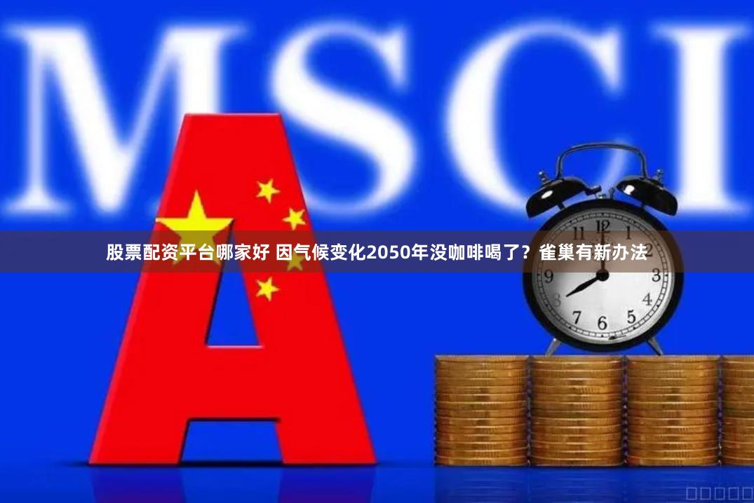 股票配资平台哪家好 因气候变化2050年没咖啡喝了？雀巢有新办法