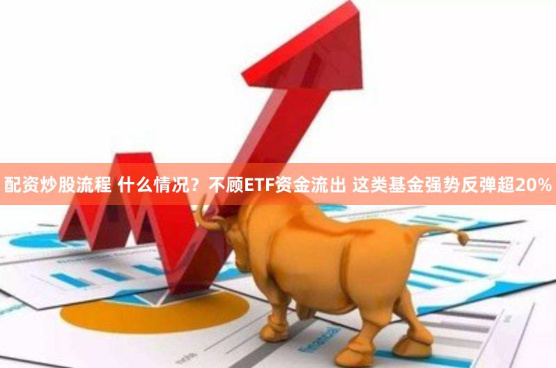 配资炒股流程 什么情况？不顾ETF资金流出 这类基金强势反弹超20%